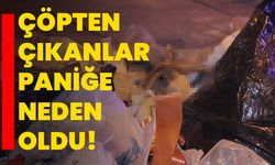 Çöpten çıkanlar paniğe neden oldu!