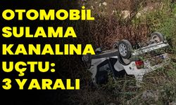 Otomobil sulama kanalına uçtu: 3 yaralı