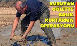 Kuruyan gölette balık kurtarma operasyonu!