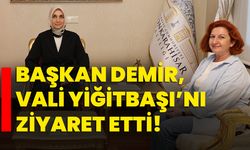 Başkan Demir, Vali Yiğitbaşı’nı ziyaret etti!