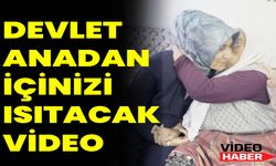 Devlet Anadan İçinizi Isıtacak Video