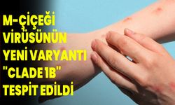 M-çiçeği virüsünün yeni varyantı "Clade 1b" tespit edildi.