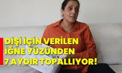 Dişi için verilen iğne yüzünden 7 aydır topallıyor!