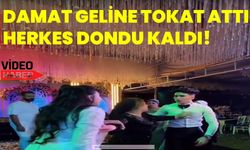 Damat geline tokat attı herkes dondu kaldı!