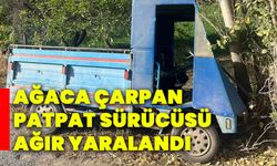 Ağaca çarpan patpat sürücüsü ağır yaralandı