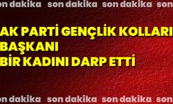 Sefo Konserinde Skandal Darp İddiası: AKP Gençlik Kolları Başkanı Bir Kadına Yumruk Attı