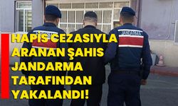 16 yıl 4 ay 25 gün hapis cezasıyla aranan şahsı jandarma tarafından yakaladı!