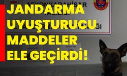 Jandarma uyuşturucu maddeler ele geçirdi!