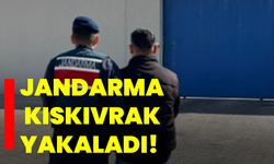 Jandarma kıskıvrak yakaladı!