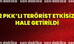 Turuncu Kategoride Yer Alan 2 PKK’lı Terörist Etkisiz Hale Getirildi