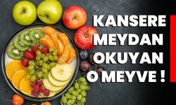 Kansere Meydan Okuyan O Meyve!