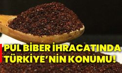 Pul biber ihracatında Türkiye’nin konumu!