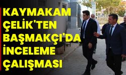 Kaymakam Çelik'ten Başmakçı'da İnceleme Çalışması