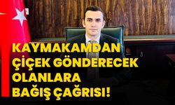 Kaymakamdan çiçek gönderecek olanlara bağış çağrısı!