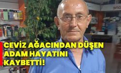 Ceviz ağacından düşen adam hayatını kaybetti!