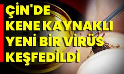 Çin'de Kene Kaynaklı Yeni Bir Virüs Keşfedildi