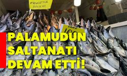 Palamudun saltanatı devam etti!