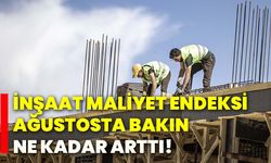 İnşaat Maliyet Endeksi ağustosta bakın ne kadar arttı!