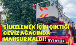 Silkelemek için çıktığı ceviz ağacında mahsur kaldı!