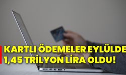 Kartlı ödemeler eylülde 1,45 trilyon lira oldu!