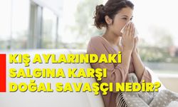 Kış aylarındaki salgına karşı doğal savaşçı nedir?