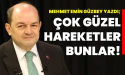 Mehmet Emin Güzbey yazdı: Çok güzel hareketler bunlar!