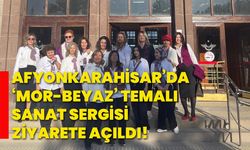 Afyonkarahisar’da ‘Mor-Beyaz’ temalı sanat sergisi ziyarete açıldı!