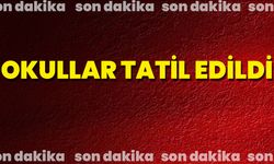 2 İlde Okullar Tatil Edildi!