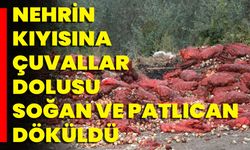 Nehrin Kıyısına Çuvallar Dolusu Soğan Ve Patlıcan Döküldü