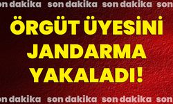 Örgüt üyesini jandarma yakaladı!