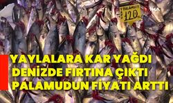 Yaylalara kar yağdı, denizde fırtına çıktı palamudun fiyatı arttı