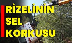 Rizelinin Sel Korkusu