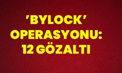 ’Bylock’ Operasyonu: 12 Gözaltı