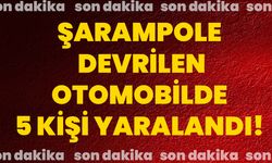 Şarampole devrilen otomobilde 5 kişi yaralandı!