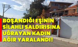 Boşandığı eşinin silahlı saldırısına uğrayan kadın ağır yaralandı!