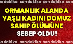 Ormanlık alanda yaşlı kadını domuz sanıp ölümüne sebep oldu!