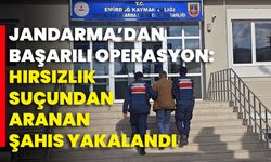 Jandarma’dan Başarılı Operasyon: Hırsızlık Suçundan Aranan Şahıs Yakalandı