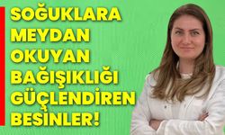 Soğuklara meydan okuyan, bağışıklığı güçlendiren besinler!