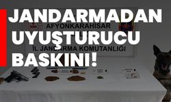 Jandarmadan uyuşturucu baskını!