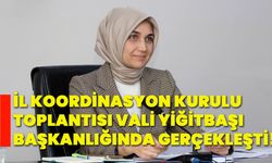 İl Koordinasyon Kurulu toplantısı Vali Yiğitbaşı başkanlığında gerçekleşti!