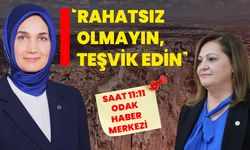 ‘Rahatsız olmayın, teşvik edin’