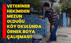 Veteriner Hekimden mezun olduğu köy okulunda örnek boya çalışması!