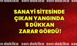 Afyonkarahisar’da sanayi sitesinde çıkan yangında 5 dükkan zarar gördü!