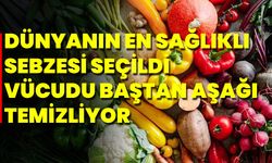 Dünyanın En Sağlıklı Sebzesi Seçildi Vücudu Baştan Aşağı Temizliyor