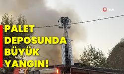 Palet deposunda büyük yangın!