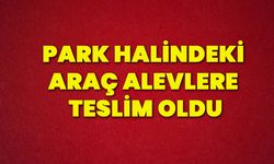 Park halindeki araç alevlere teslim oldu!