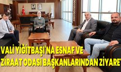 Vali Yiğitbaşı'na Esnaf ve Ziraat Odası Başkanlarından Ziyaret