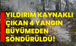 Tavşanlı'da yıldırım kaynaklı çıkan 4 yangın büyümeden söndürüldü!