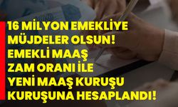 16 milyon emekliye müjdeler olsun! Emekli maaş zam oranı ile yeni maaş kuruşu kuruşuna hesaplandı!