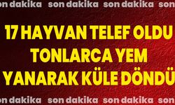 17 hayvan telef oldu, tonlarca yem yanarak küle döndü